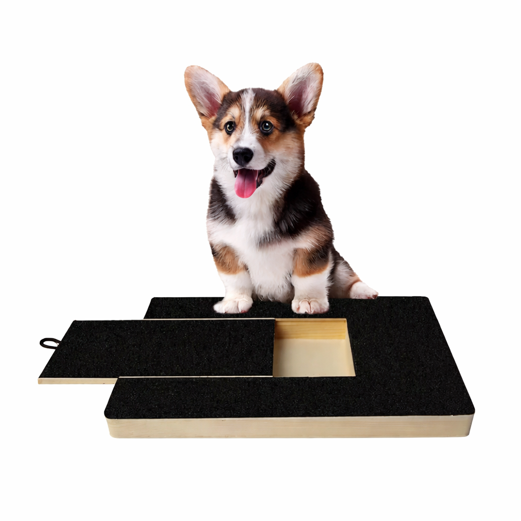 Tabla Rascadora de Uñas para Perros