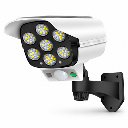 Solar Motion Light with Dummy Camera Housing