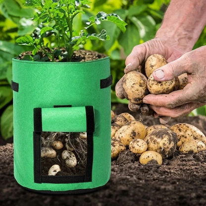 Felt Potato Grow Bag with Harvest Flap