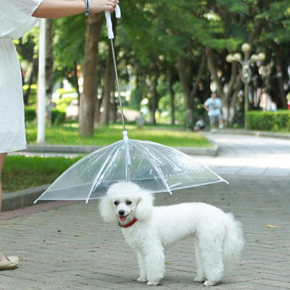 Paraguas para mascotas