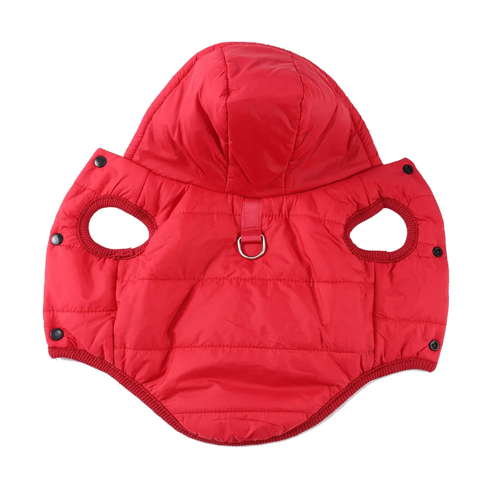Veste douillette à capuche pour animaux de compagnie